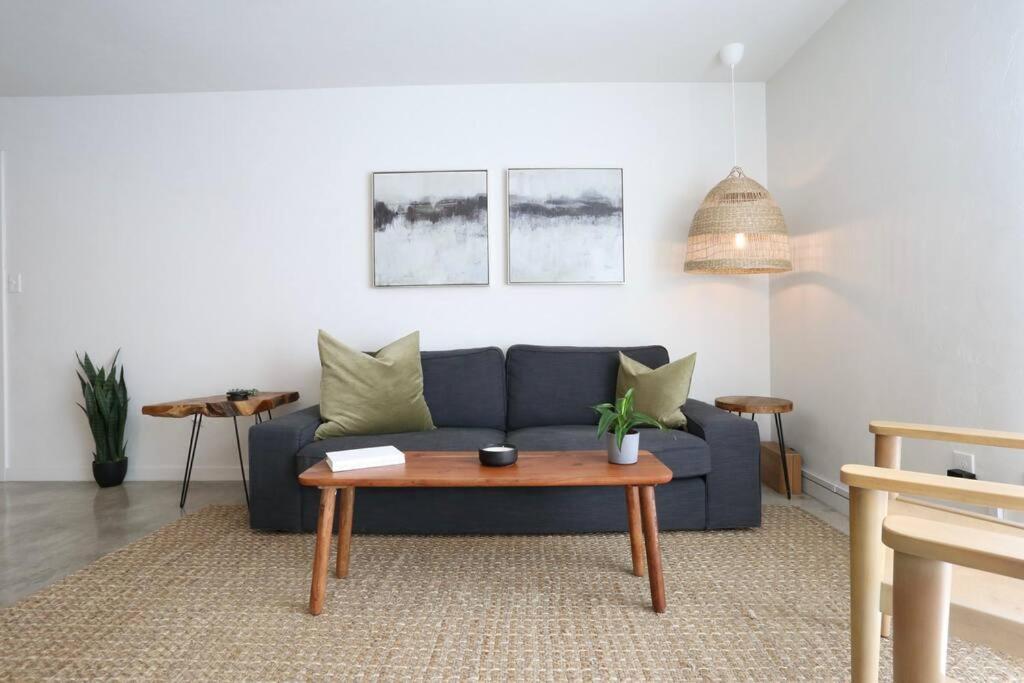 Concrete Suite 5 Min Walk To Shands Uf Gainesville Buitenkant foto